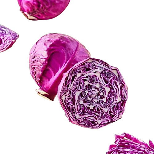 Red Cabbage