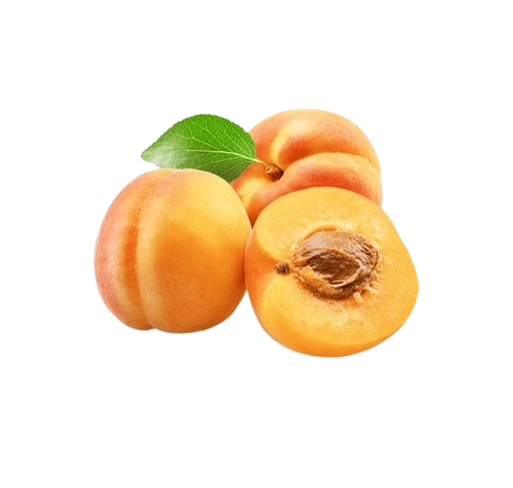 Apricot