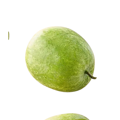 Ash Gourd