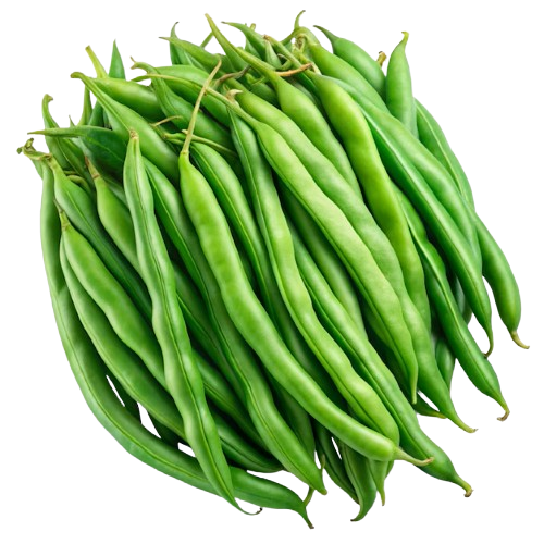 Beans - Haricot