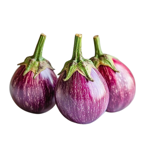 Brinjal