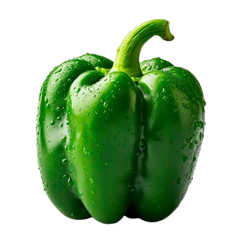 Capsicum