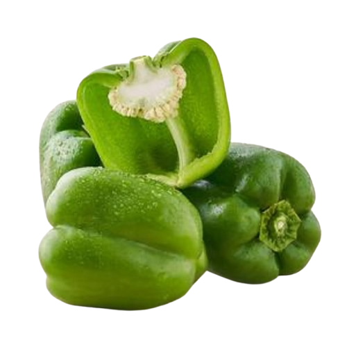 Capsicum