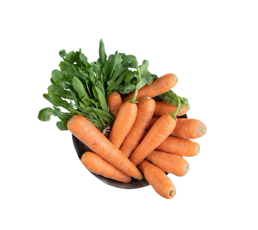 Carrot