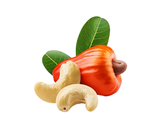 Cashew