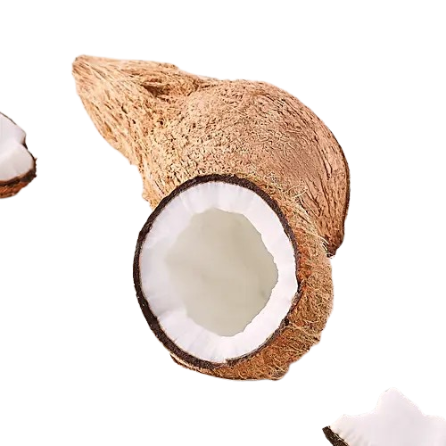 Coconut