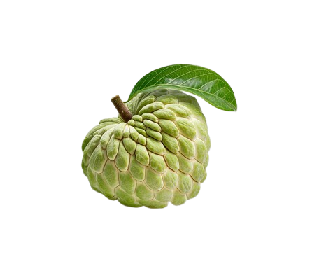 Custard Apple