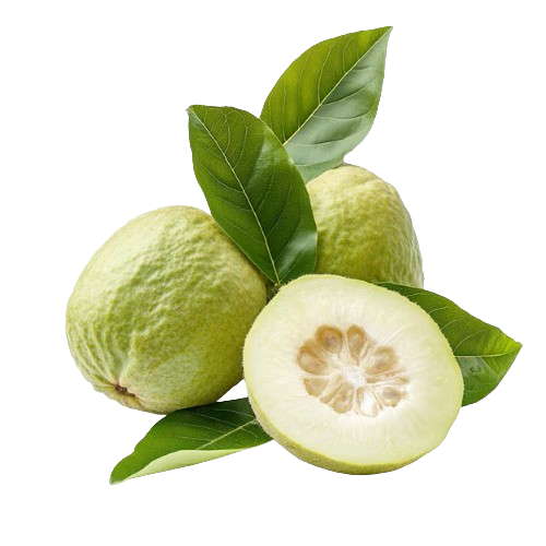 Guava