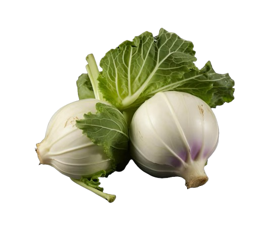 Kohlrabi