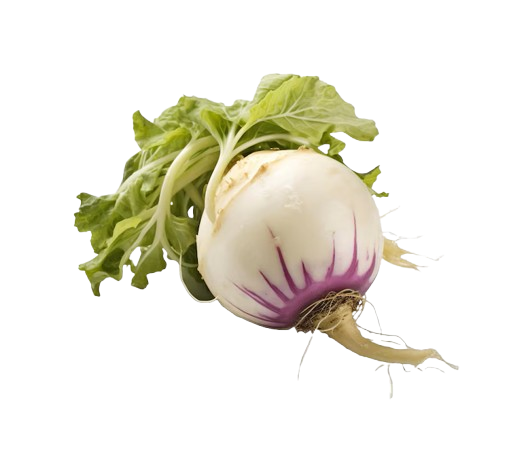 Kohlrabi