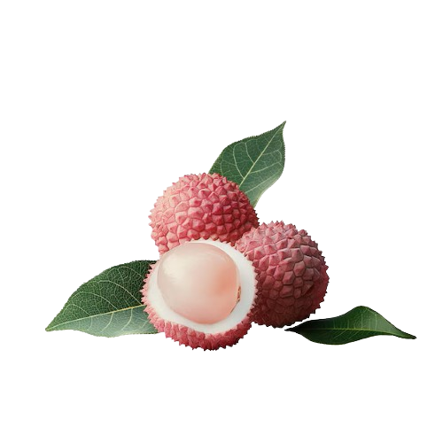 Lychee