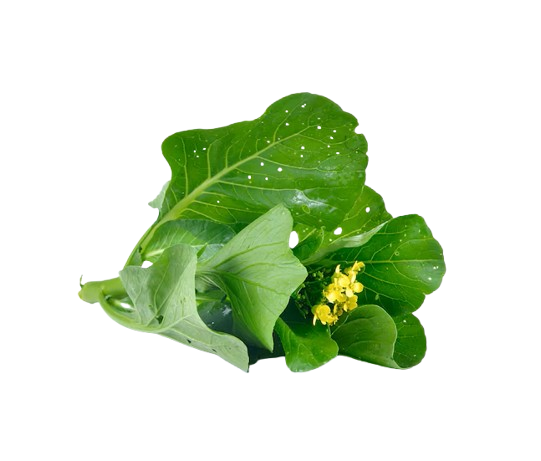 Mustard Greens