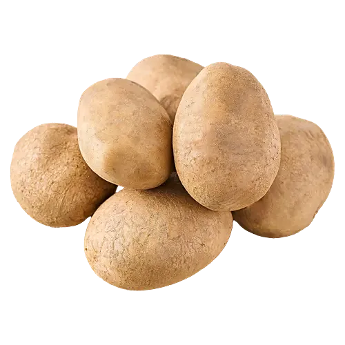 Potato