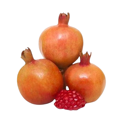 Pomegranate