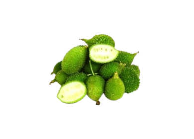 Spiny Gourd