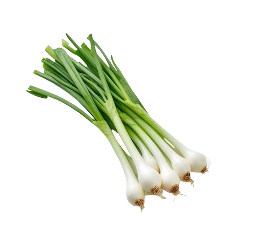 Spring Onion