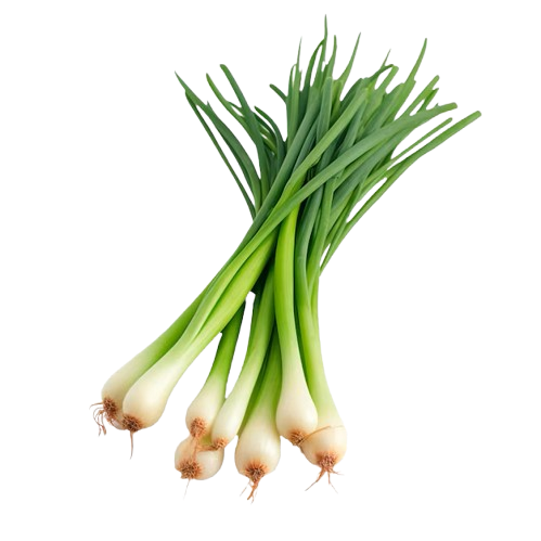 Spring Onion