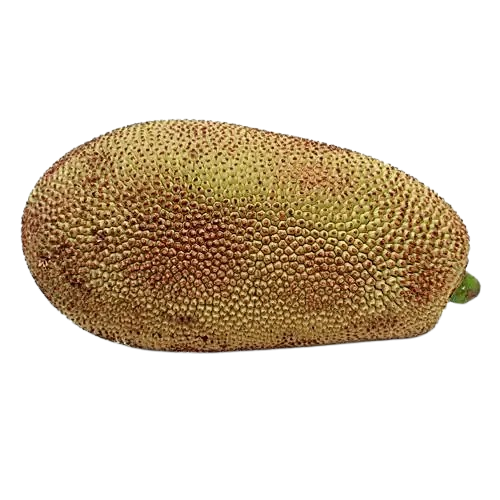 Jackfruit