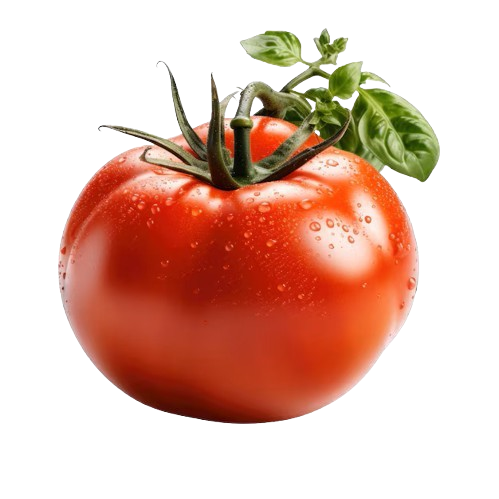 Tomato