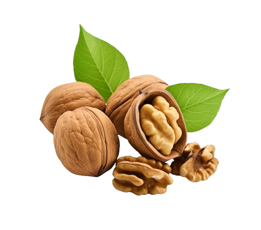 Walnut